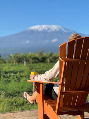 Camp David-Amboseli